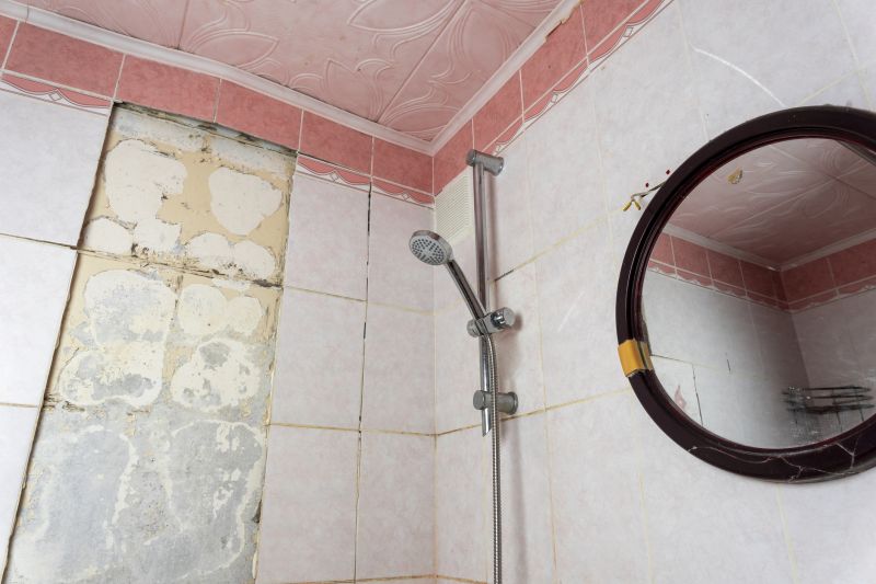 Shower Tile Repair in Denver County, CO